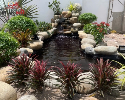 Dự án Hồ Cá Koi Thủ Dầu Một - Bình Dương