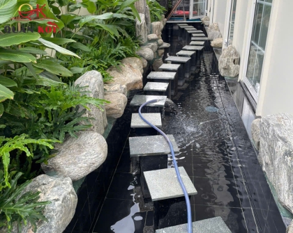Dự án hồ cá koi hiện đại Thủ Dầu Một