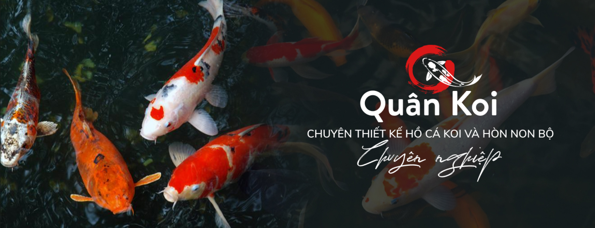 Quân Koi Thi Công Hồ Cá Koi || Thiết Kế Thi Công Hồ cá Koi Bình Dương