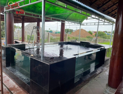 Thi Công Hồ Cá Koi 8 Khối 3 Mặt Kiếng Cường Lực Tại Tây Ninh Đẹp Chuẩn Nhật
